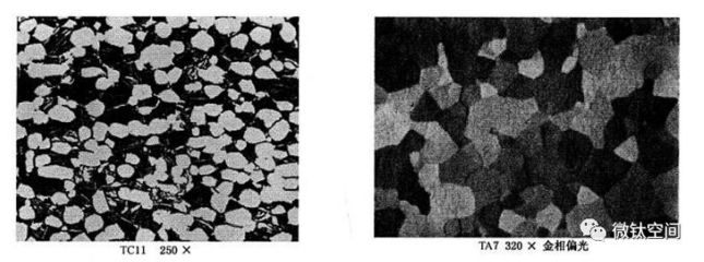 鈦及鈦合金金相術(shù)語(yǔ)及圖譜——α相詳解